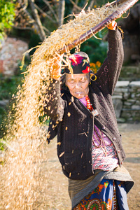 Une femme tamise le riz - Népal