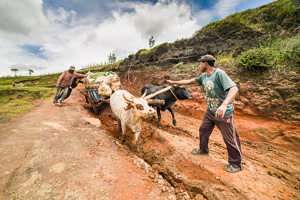 Paysans Malgaches - Madagascar